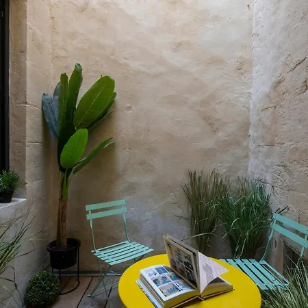 Chez Domus Reattu Centre アルル